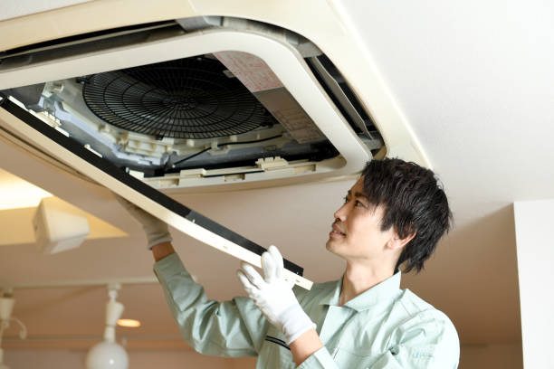 Best HVAC Maintenance and Cleaning  in Chenango Bridge, NY
