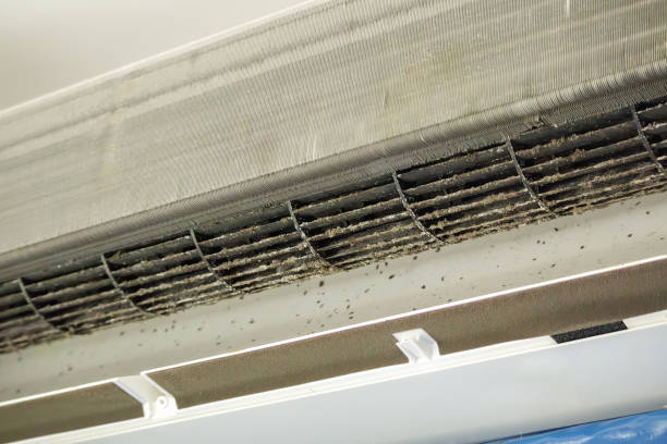 Best Emergency Air Duct Cleaning  in Chenango Bridge, NY